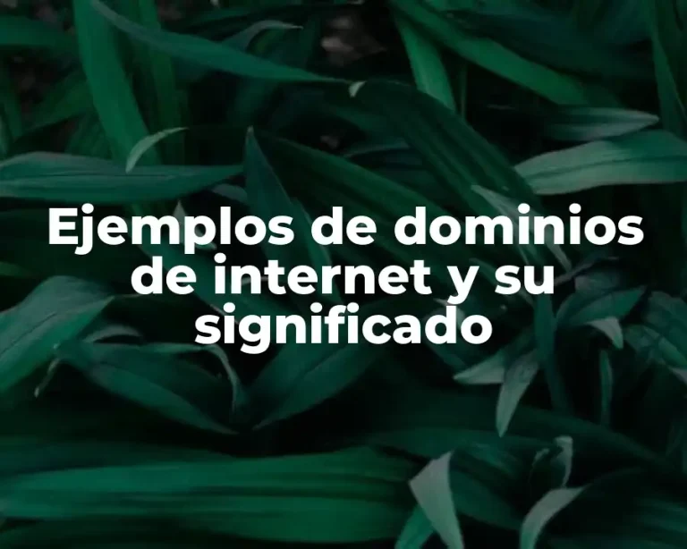 Ejemplos de dominios de internet y su significado
