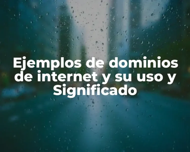 Ejemplos de dominios de internet y su uso y Significado