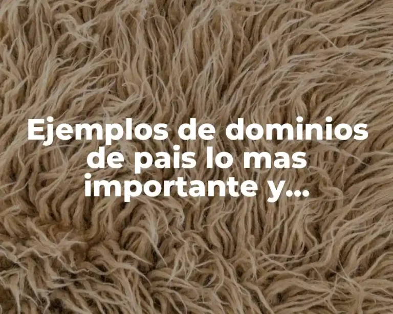 Ejemplos de dominios de pais lo mas importante y Significado