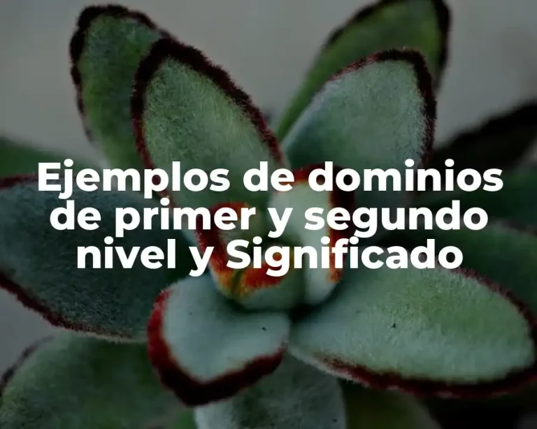 Ejemplos de dominios de primer y segundo nivel y Significado