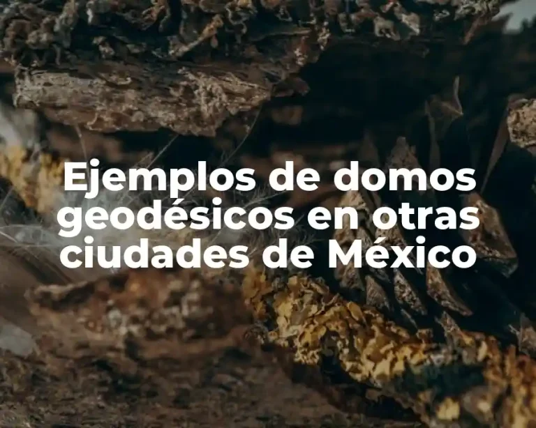 Ejemplos de domos geodésicos en otras ciudades de México