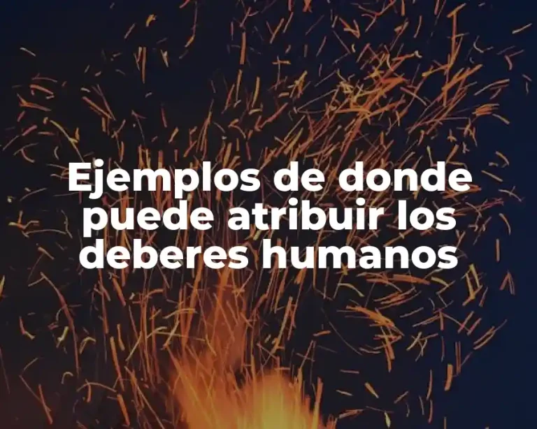 Ejemplos de donde puede atribuir los deberes humanos