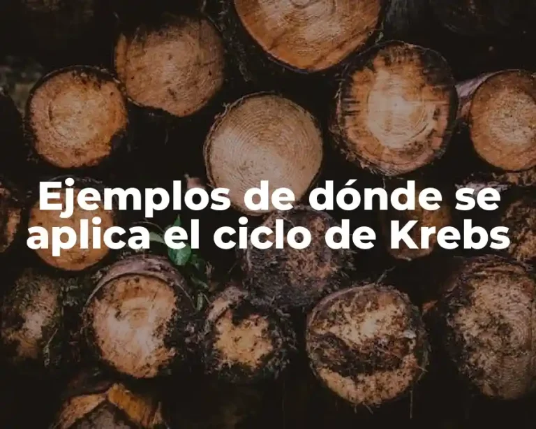 Ejemplos de dónde se aplica el ciclo de Krebs
