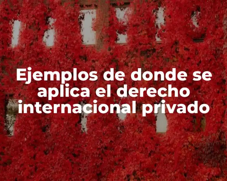 Ejemplos de donde se aplica el derecho internacional privado