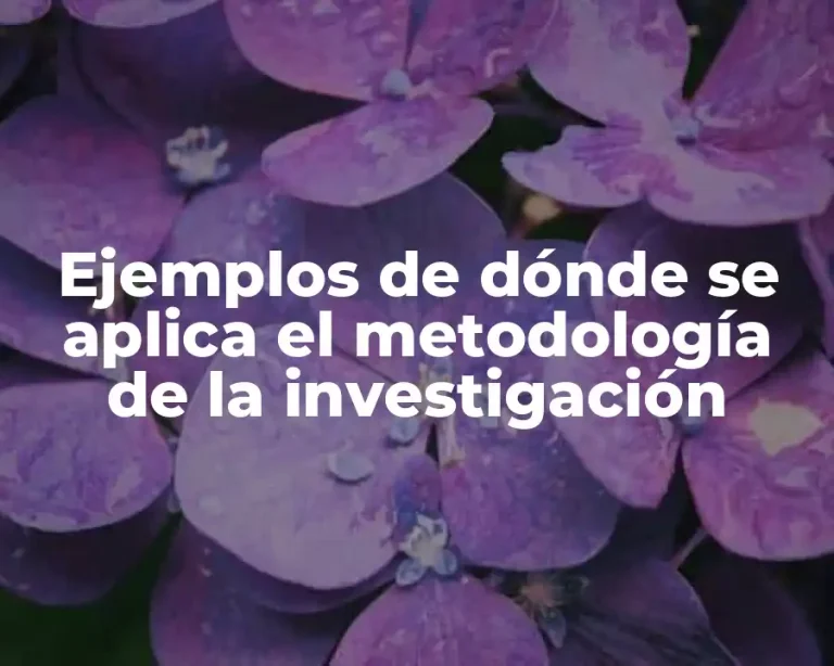 Ejemplos de dónde se aplica el metodología de la investigación