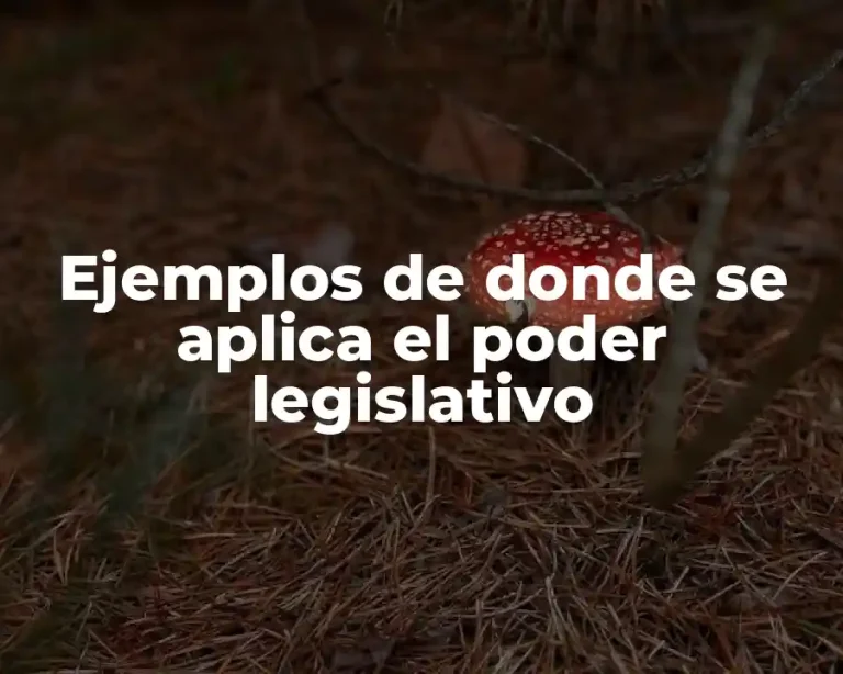 Ejemplos de donde se aplica el poder legislativo