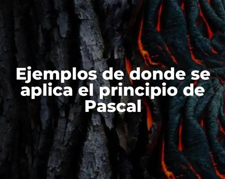 Ejemplos de donde se aplica el principio de Pascal