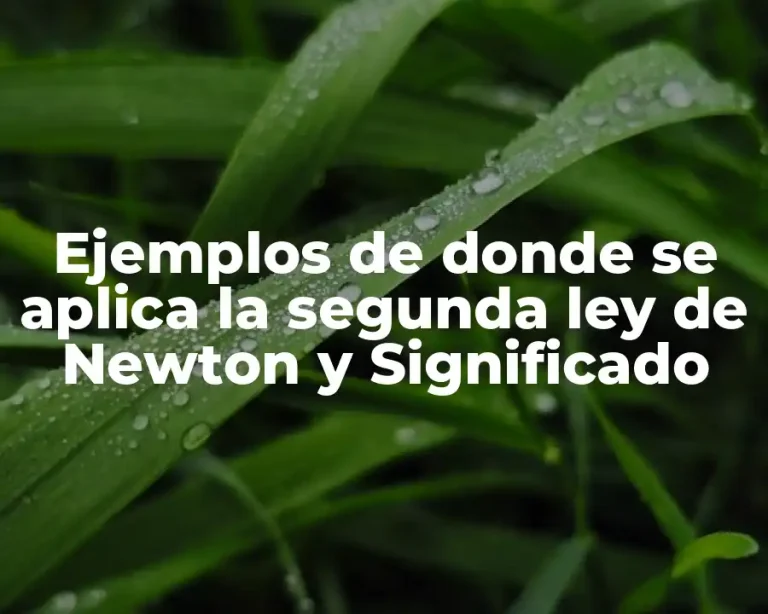Ejemplos de donde se aplica la segunda ley de Newton y Significado