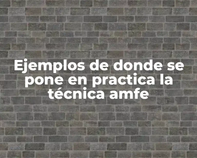 Ejemplos de donde se pone en practica la técnica amfe