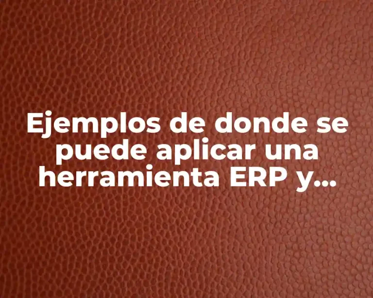 Ejemplos de donde se puede aplicar una herramienta ERP y Significado