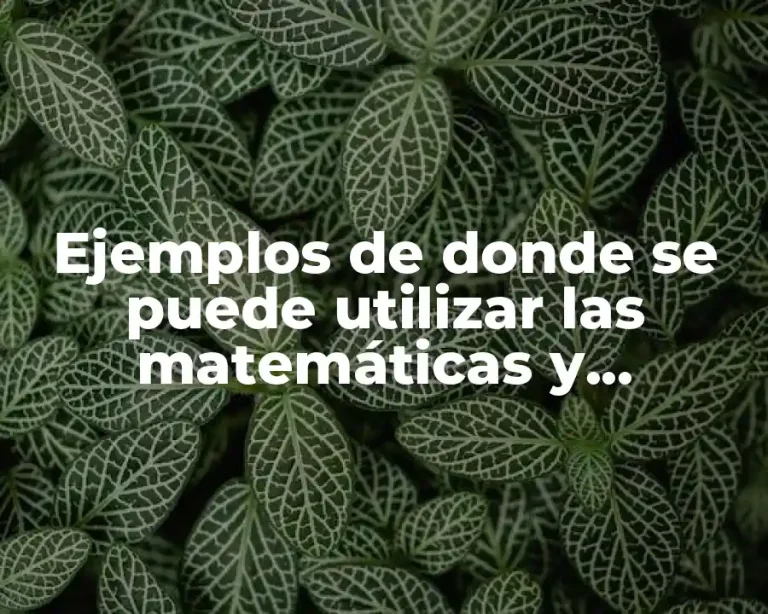 Ejemplos de donde se puede utilizar las matemáticas y Significado