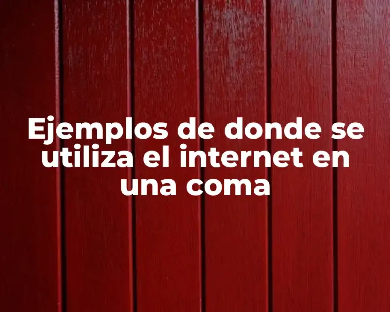 Ejemplos de donde se utiliza el internet en una coma