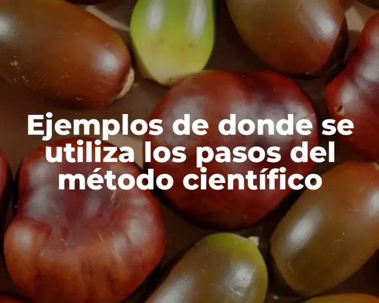 Ejemplos de donde se utiliza los pasos del método científico