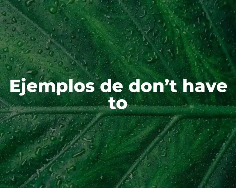 Ejemplos de don’t have to