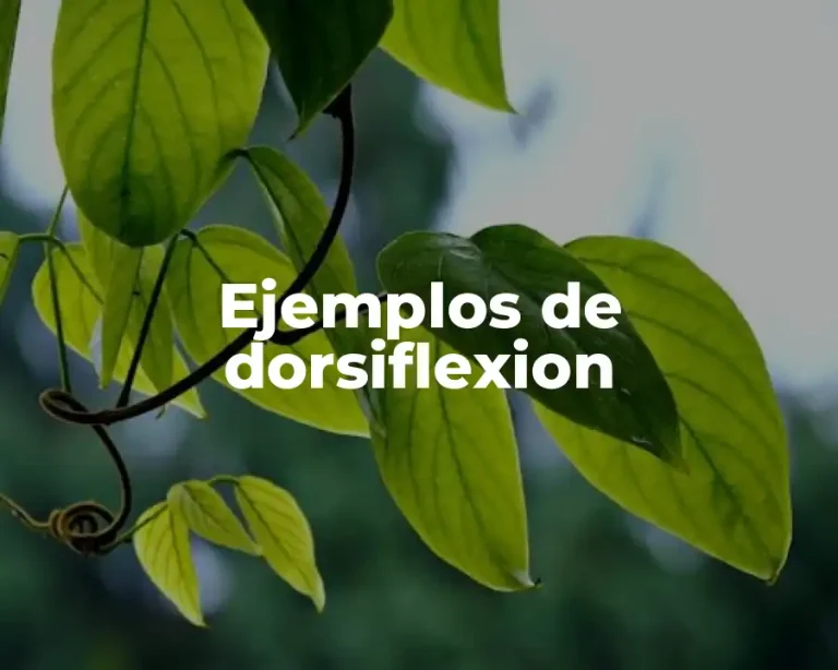 Ejemplos de dorsiflexion
