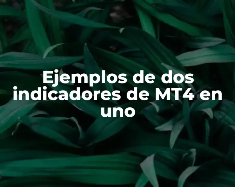 Ejemplos de dos indicadores de MT4 en uno