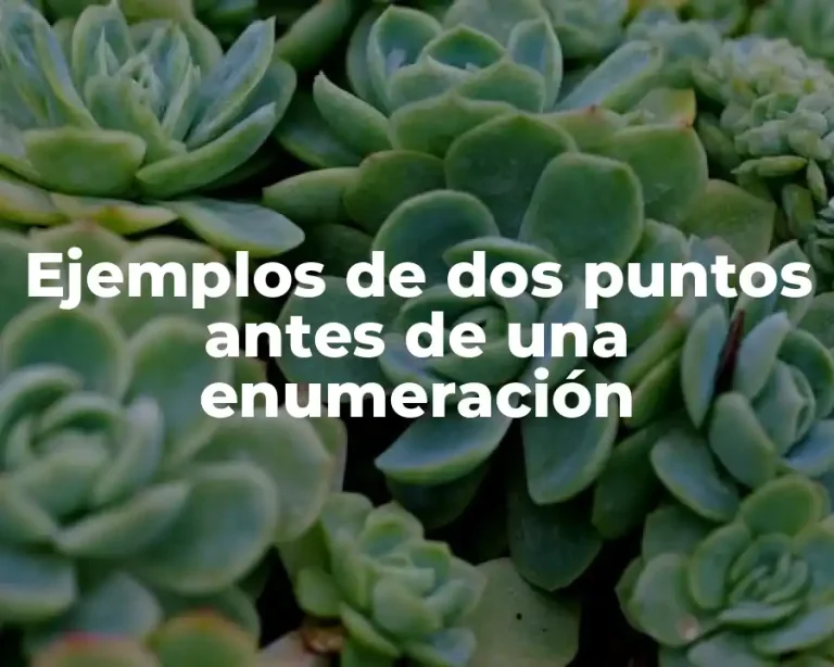 Ejemplos de dos puntos antes de una enumeración