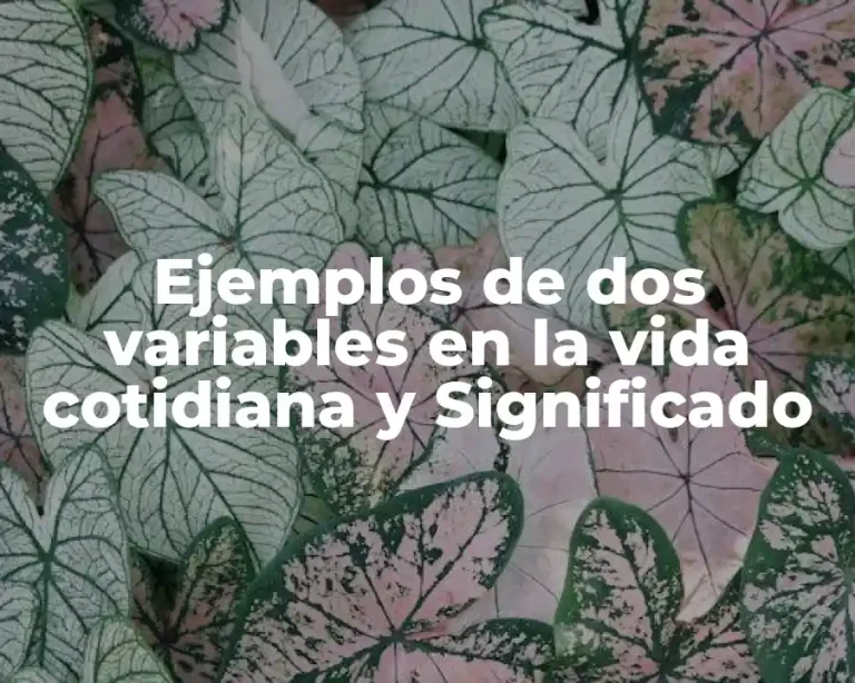 Ejemplos de dos variables en la vida cotidiana y Significado