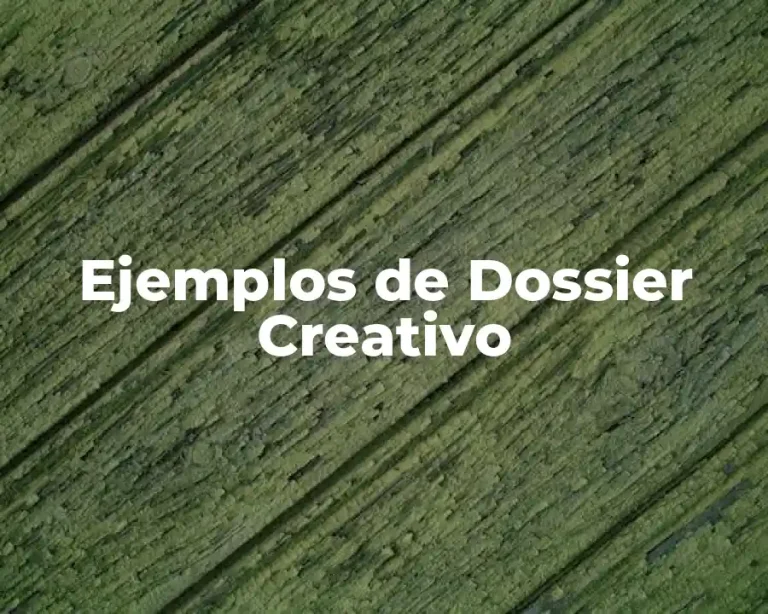 Ejemplos de Dossier Creativo