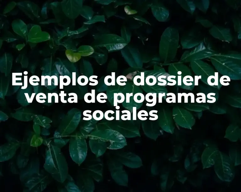 Ejemplos de dossier de venta de programas sociales