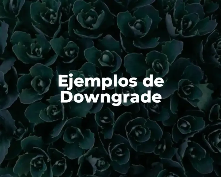 Ejemplos de Downgrade