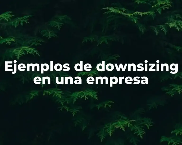 Ejemplos de downsizing en una empresa