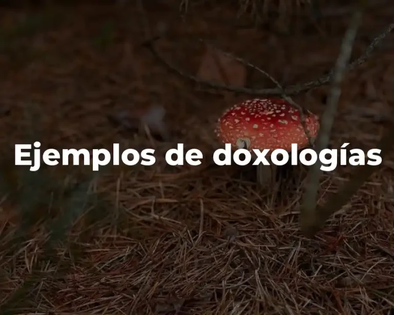 Ejemplos de doxologías