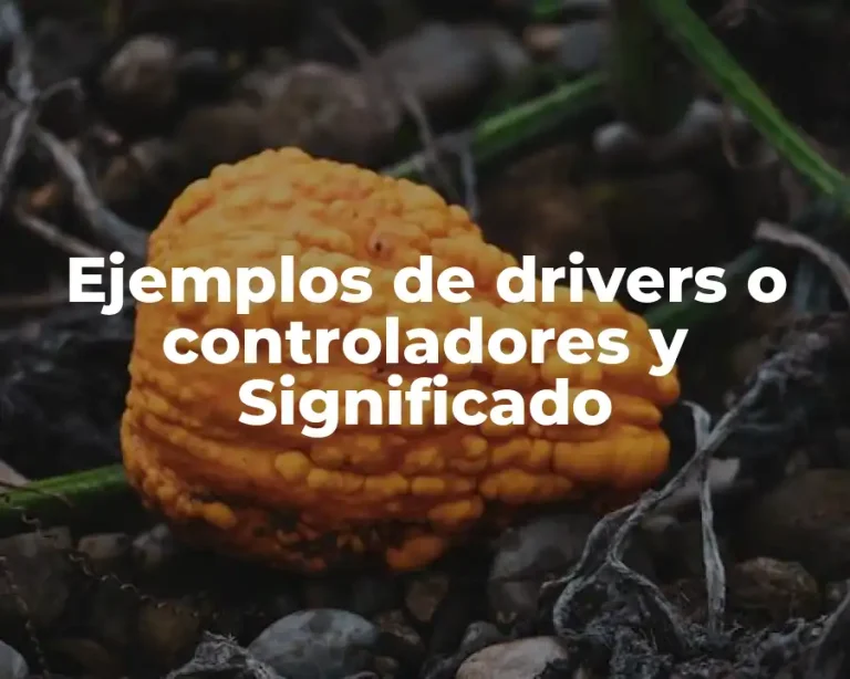 Ejemplos de drivers o controladores y Significado
