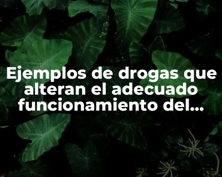 Ejemplos de drogas que alteran el adecuado funcionamiento del cerebro