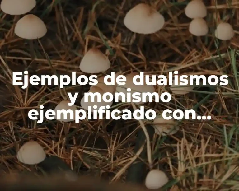 Ejemplos de dualismos y monismo ejemplificado con países