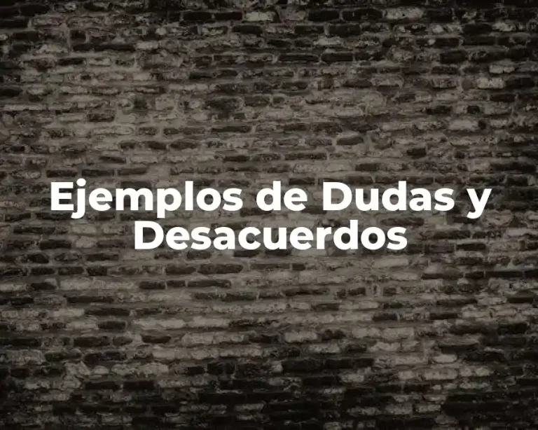 Ejemplos de Dudas y Desacuerdos