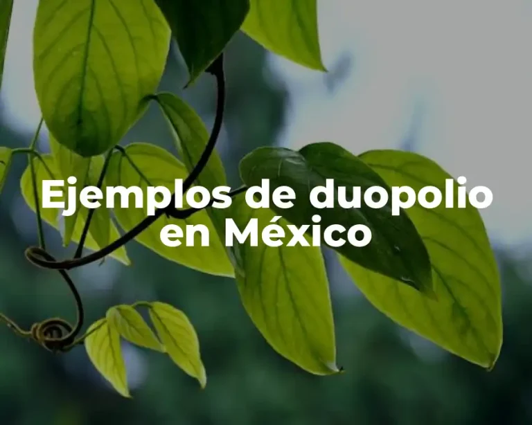 Ejemplos de duopolio en México