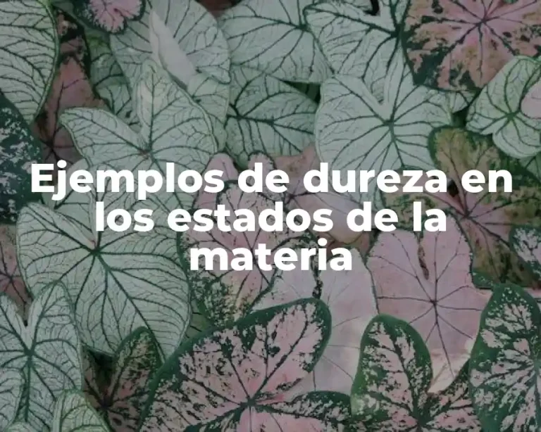 Ejemplos de dureza en los estados de la materia