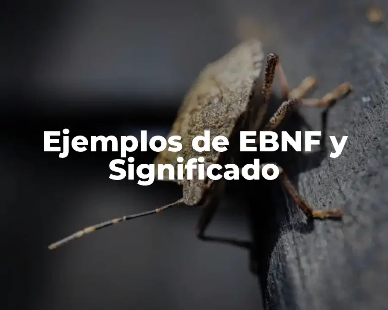 Ejemplos de EBNF y Significado