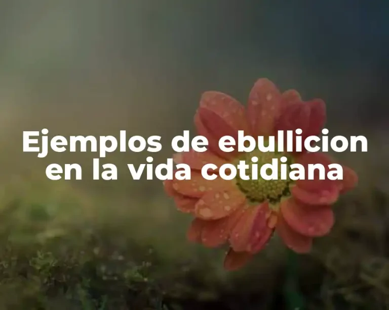Ejemplos de ebullicion en la vida cotidiana