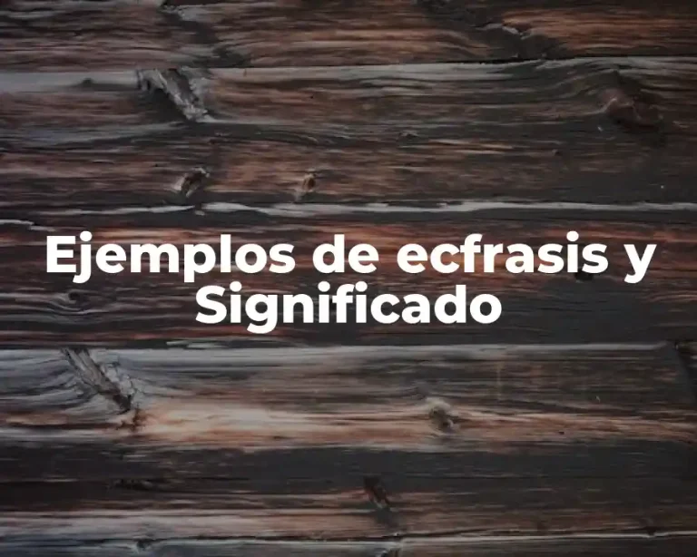 Ejemplos de ecfrasis y Significado