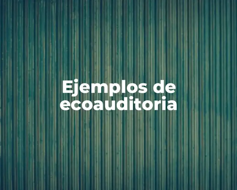 Ejemplos de ecoauditoria