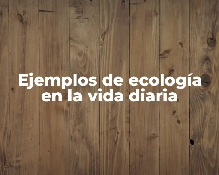 Ejemplos de ecología en la vida diaria