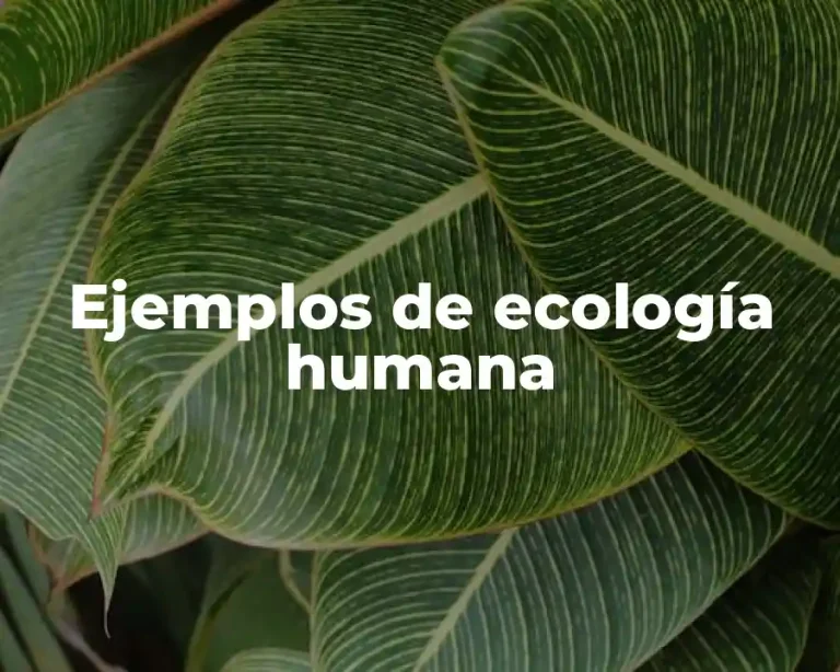 Ejemplos de ecología humana