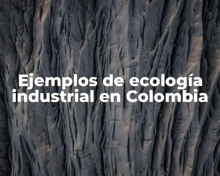 Ejemplos de ecología industrial en Colombia