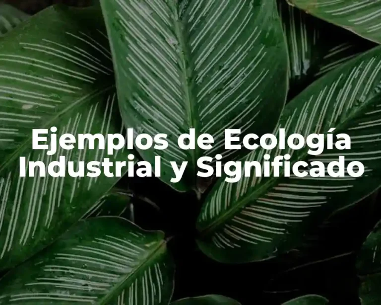 Ejemplos de Ecología Industrial y Significado