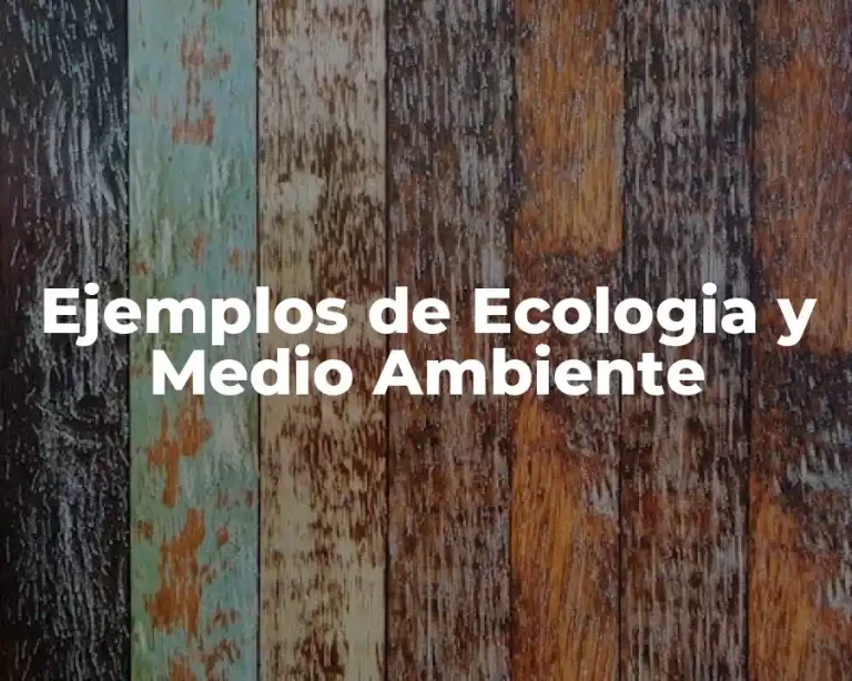 Ejemplos de Ecologia y Medio Ambiente