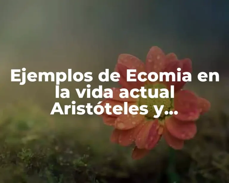 Ejemplos de Ecomia en la vida actual Aristóteles y Significado