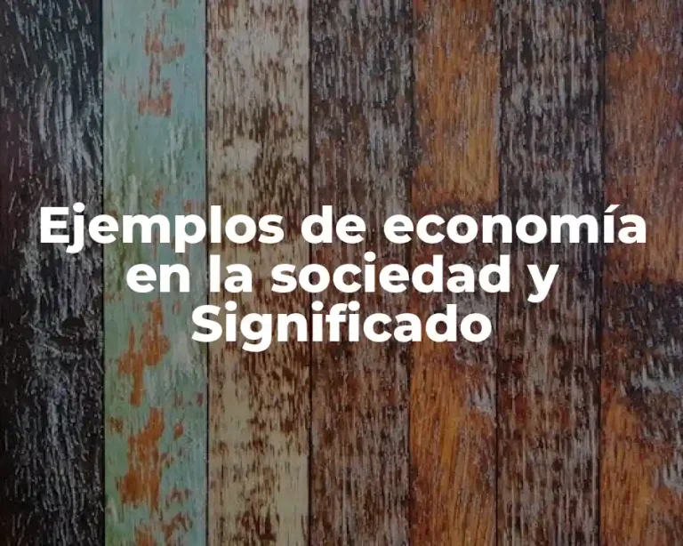 Ejemplos de economía en la sociedad y Significado