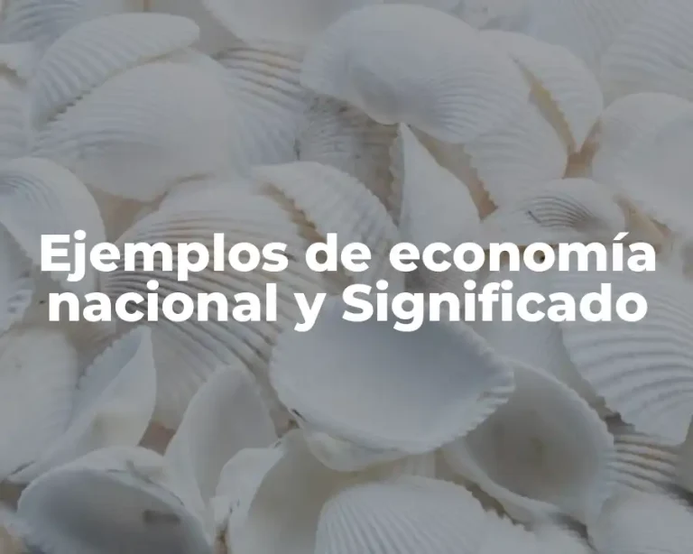 Ejemplos de economía nacional y Significado