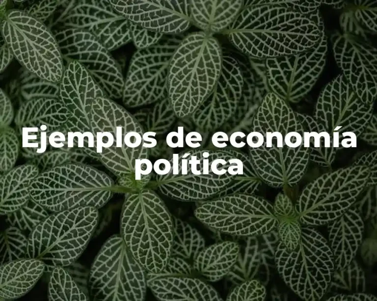 Ejemplos de economía política