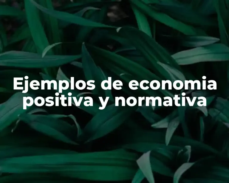 Ejemplos de economia positiva y normativa