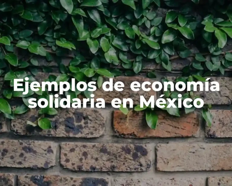 Ejemplos de economía solidaria en México