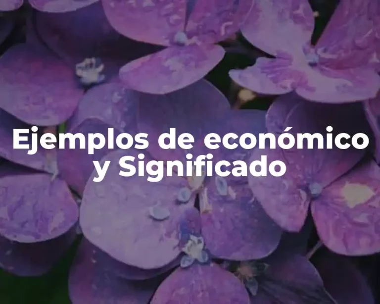 Ejemplos de económico y Significado