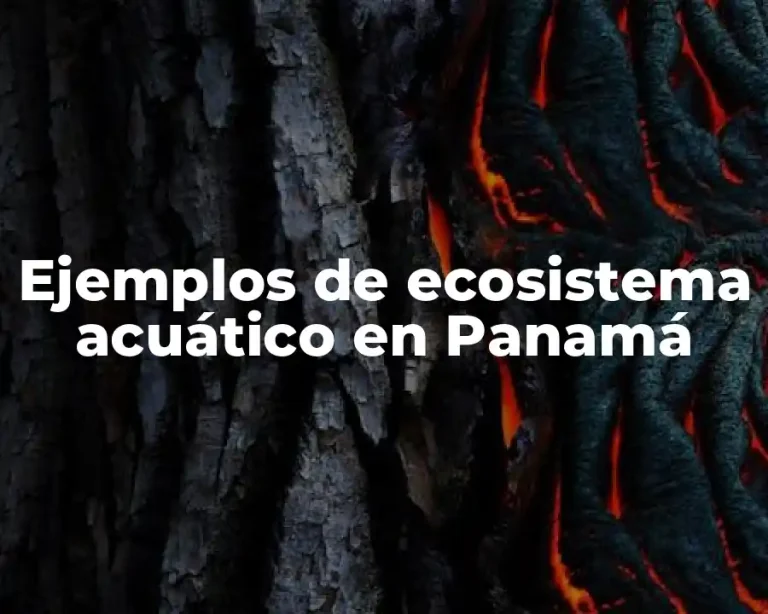Ejemplos de ecosistema acuático en Panamá